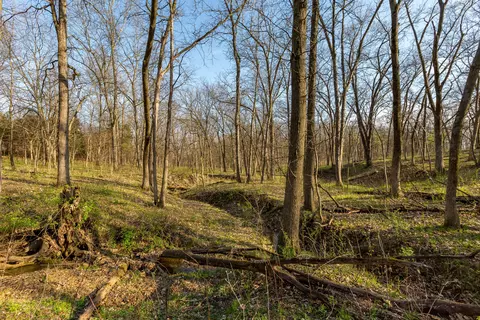 tbd Ostrich Pl, Anabel, MO 63552 photo 16