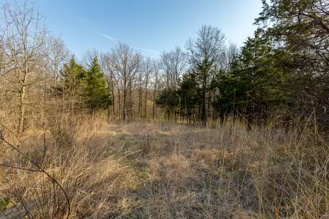tbd Ostrich Pl, Anabel, MO 63552 photo 17