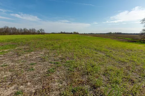 tbd Ostrich Pl, Anabel, MO 63552 photo 10