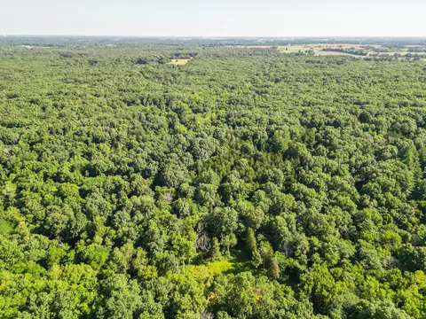 County Road 232, Fulton, MO 65251 photo 43