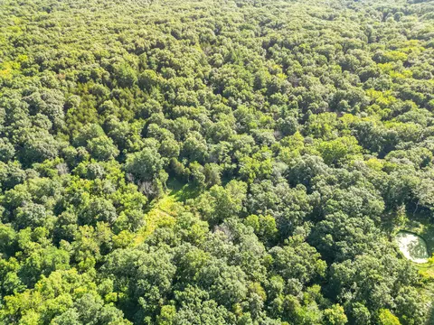 County Road 232, Fulton, MO 65251 photo 33