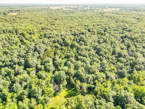 County Road 232, Fulton, MO 65251 photo 35
