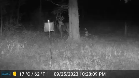 County Road 232, Fulton, MO 65251 photo 31