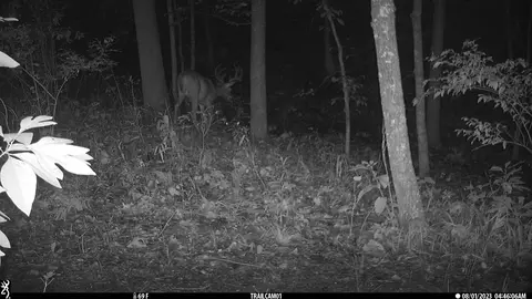 County Road 232, Fulton, MO 65251 photo 30
