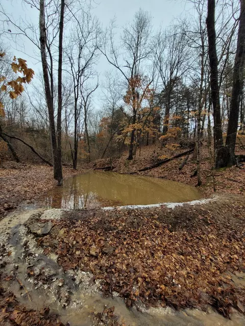 County Road 232, Fulton, MO 65251 photo 21