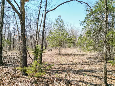 2a State Route A, Higbee, MO 65257 photo 2