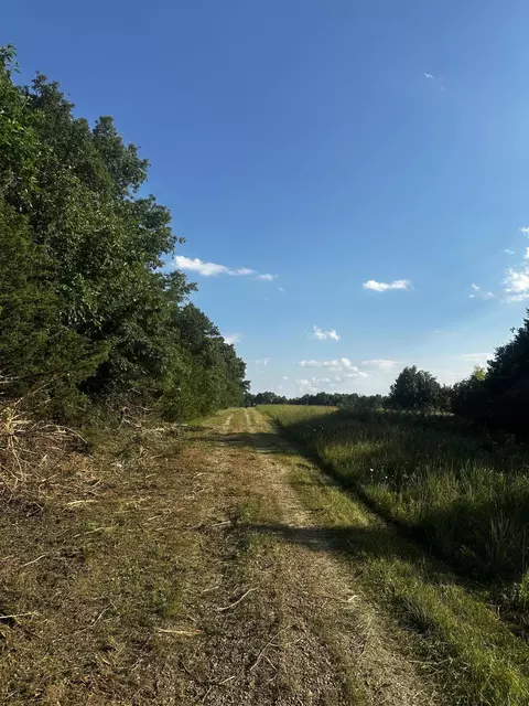 4 Highway Ff, Mexico, MO 65265 photo 13
