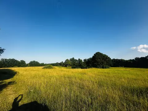 Tract 6 Audrain Rd 935, Mexico, MO 65265 photo 13