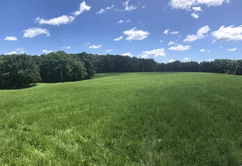 Tract 3 E Route Y, Ashland, MO 65010 photo 3