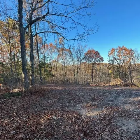 lot3 Cedar Tree Ln, Hartsburg, MO 65039