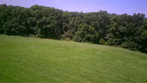 E Y, Ashland, MO 65010 photo 4