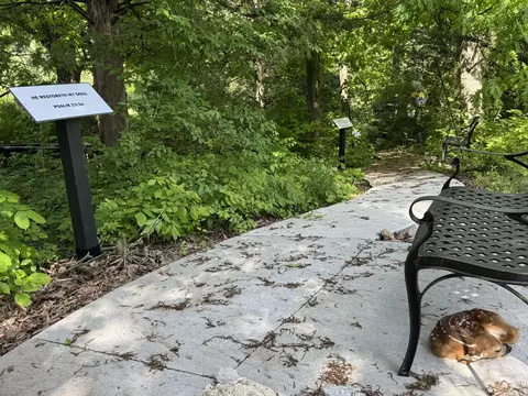 lot6 Willow Woods, Holts Summit, MO 65043 photo 10