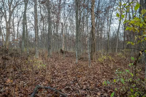 000 County Rd 841, Mexico, MO 65265 photo 19