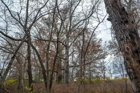 000 County Rd 841, Mexico, MO 65265 photo 12