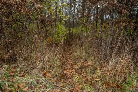 000 County Rd 841, Mexico, MO 65265 photo 11