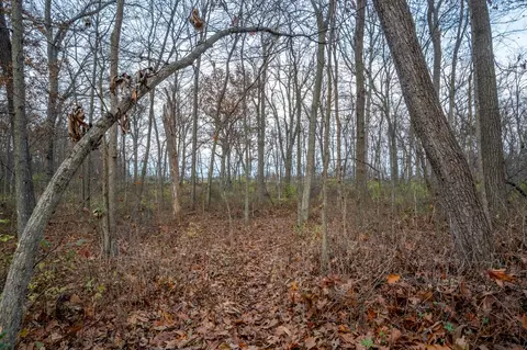 000 County Rd 841, Mexico, MO 65265 photo 18