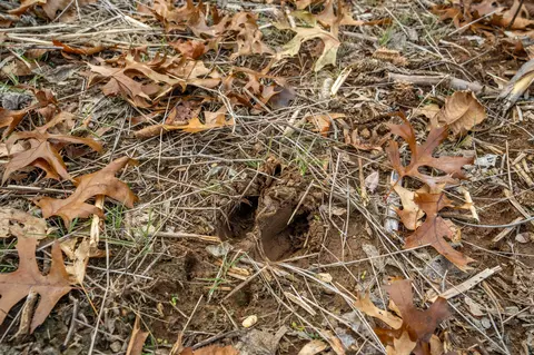 000 County Rd 841, Mexico, MO 65265 photo 13
