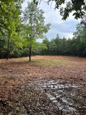23 Acres Minor Hill Rd, Ashland, MO 65010