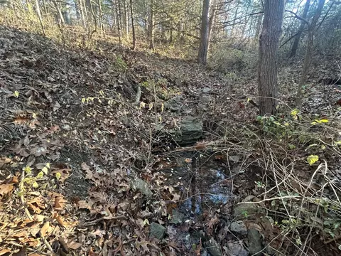 Highway 5, Boonville, MO 65233 photo 9