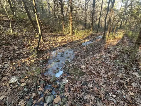Highway 5, Boonville, MO 65233 photo 6