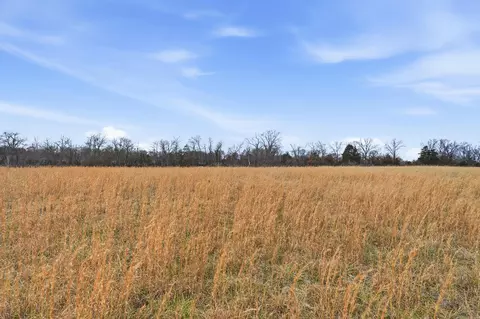 E Bowling Ln, Columbia, MO 65201 photo 6