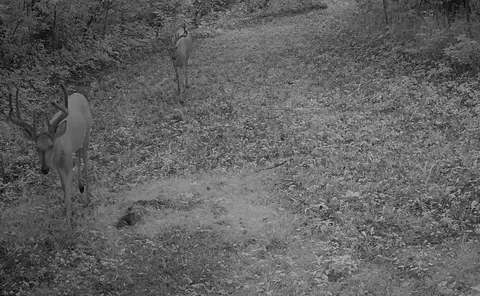 Other - 9325 E St Charles Rd, Columbia, MO 65202 photo 8 of 18