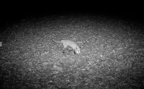 Other - 9325 E St Charles Rd, Columbia, MO 65202 photo 12 of 18