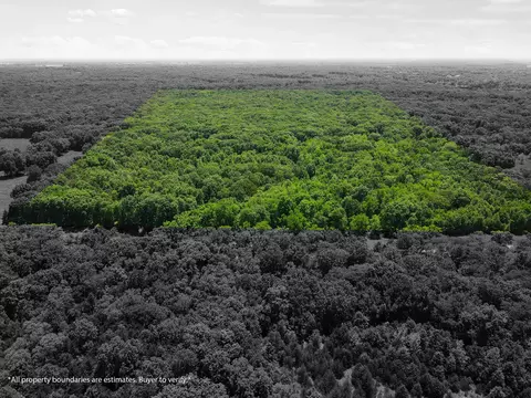 40 N Acres N Phillipe Rd, Hallsville, MO 65255