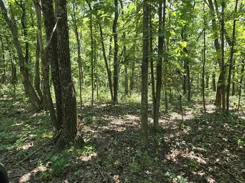 State Hwy 42, Belle, MO 65013