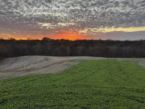 121 Acres Rte E, Glasgow, MO 65254 photo 5
