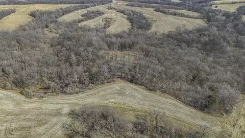 121 Acres Rte E, Glasgow, MO 65254 photo 14