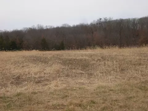N Tucker School Rd, Sturgeon, MO 65284 photo 4