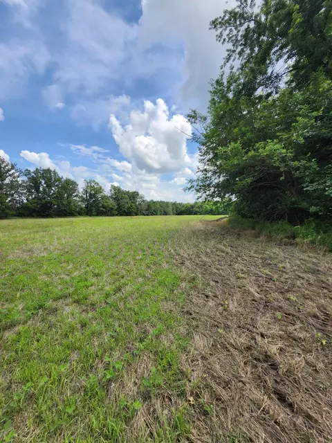 Tract 2 E Mchatton Rd, Sturgeon, MO 65284 photo 6