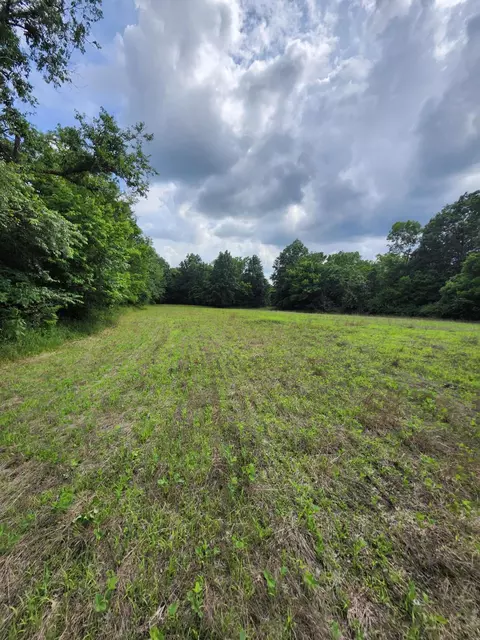 Tract 2 E Mchatton Rd, Sturgeon, MO 65284 photo 4