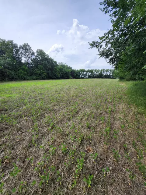 Tract 3 E Mchatton Rd, Sturgeon, MO 65284