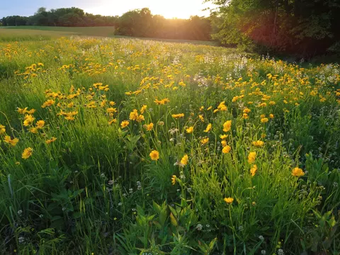 lot14 W Mariposa Ridge Rd, Columbia, MO 65202