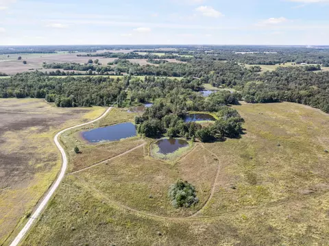 Tract 6 County Rd 1117 Rd, Madison, MO 65263 photo 22
