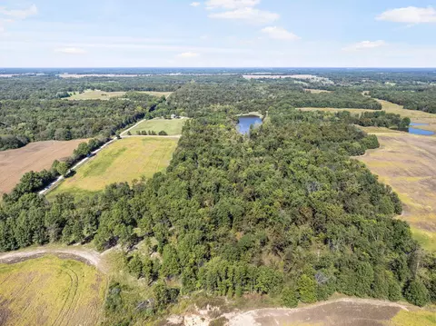 Tract 17 County Rd 1117, Madison, MO 65263 photo 11