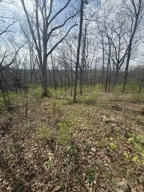 1106 W Old Plank Rd, Columbia, MO 65203