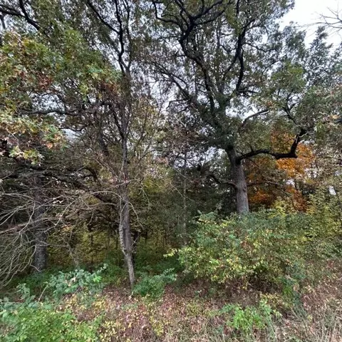 E Route A, Ashland, MO 65010 photo 11