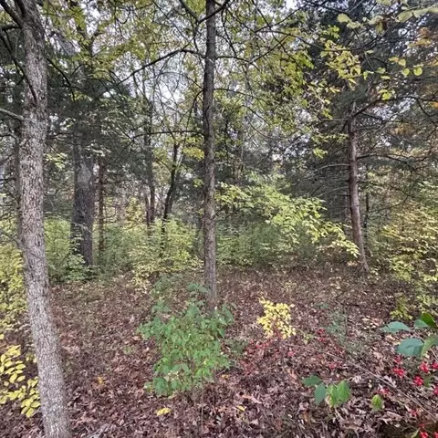 E Route A, Ashland, MO 65010 photo 12