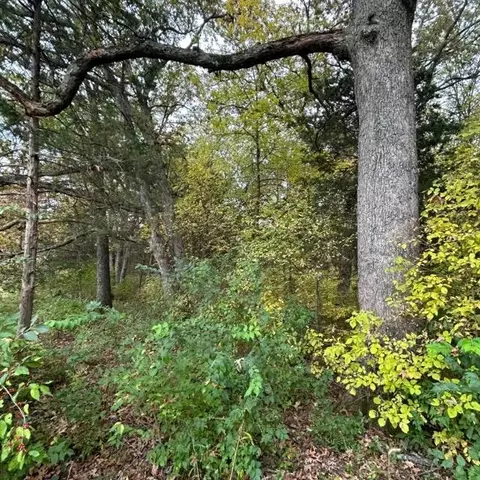 E Route A, Ashland, MO 65010 photo 5