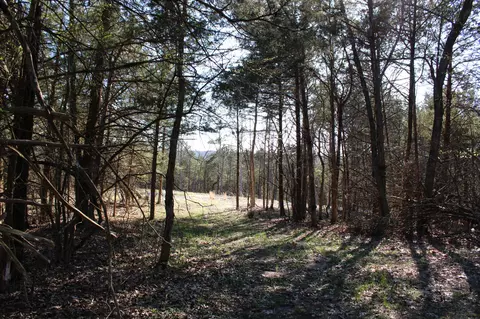 Tract 2-d County Road 449, Fulton, MO 65251