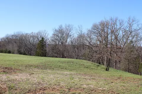 Tract B-2 County Road 449, Fulton, MO 65251 photo 6