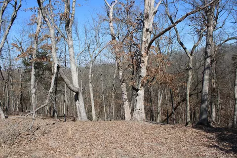 Tract B-2 County Road 449, Fulton, MO 65251 photo 16