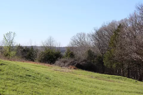 Tract B-2 County Road 449, Fulton, MO 65251 photo 11