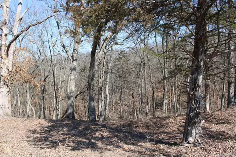 Tract B-2 County Road 449, Fulton, MO 65251 photo 15