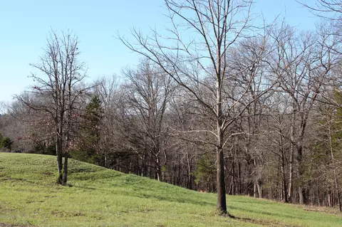 Tract B-2 County Road 449, Fulton, MO 65251 photo 13