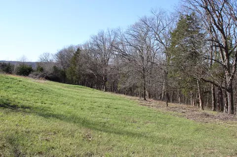 Tract B-2 County Road 449, Fulton, MO 65251 photo 9