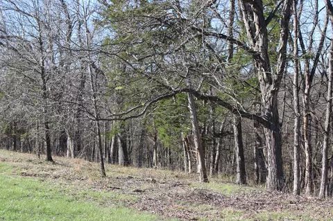 Tract B-2 County Road 449, Fulton, MO 65251 photo 14